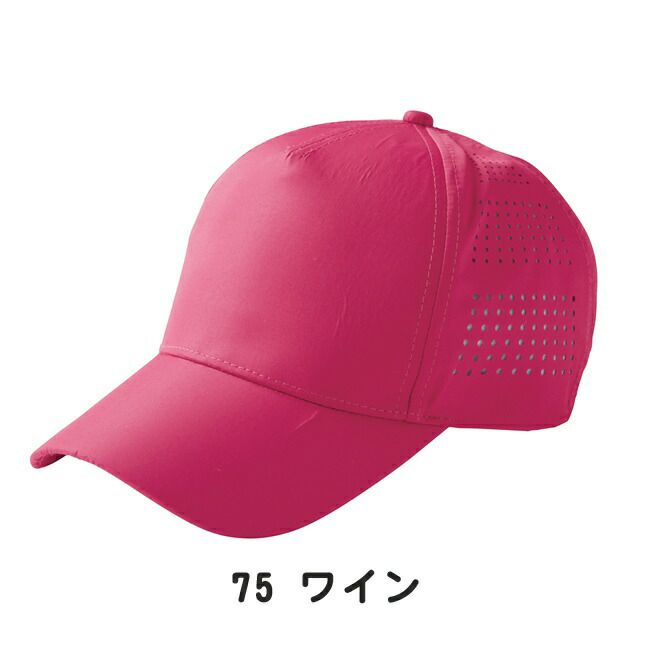 TSDESIGN藤和ＣＯＬＯＲＬＡＢメッシュキャップ