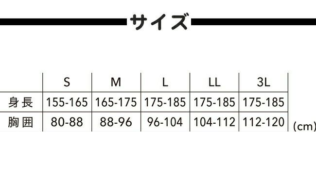 TSDESIGN藤和ショートスリーブシャツ