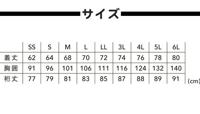 TSDESIGN藤和ＦＬＡＳＨ長袖ポロシャツ