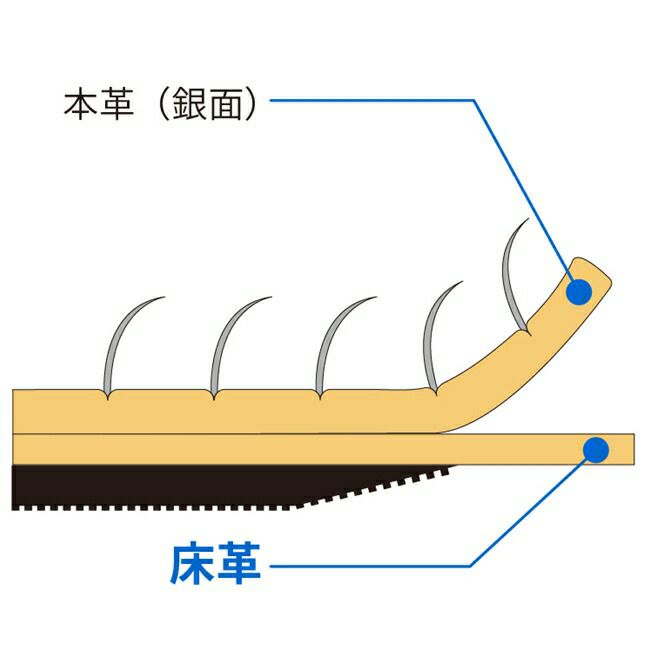 シモン牛床革手袋OIL-10710双セット