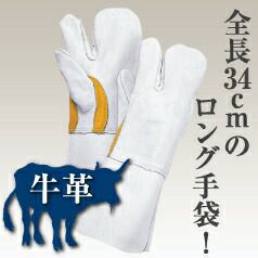 【ロング手袋】牛床革コンピアテ付き（ミツ子）10双