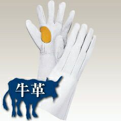 【ロング手袋】牛床革コンピアテ付き（イツ子）10双