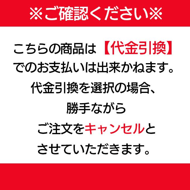 レグルス汗取りパットRFS-AP【法人様限定】【代金引換不可】【北海道・沖縄・離島不可】