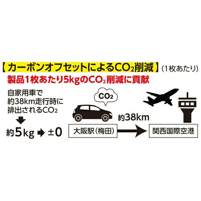 コーコスCO-COSエコ・ボルトクールシャネツベスト